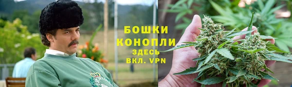 ПСИЛОЦИБИНОВЫЕ ГРИБЫ Гусиноозёрск