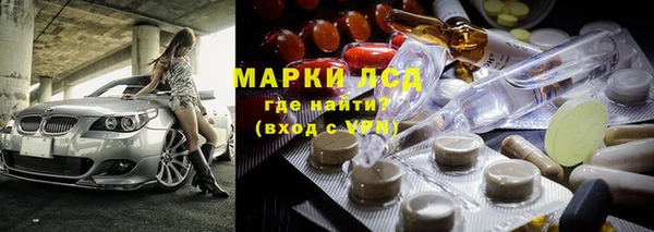 мяу мяу мука Гусев